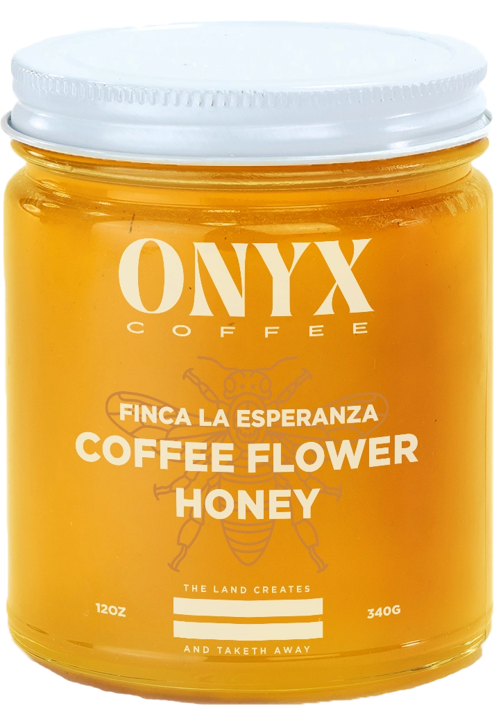 Picture of Finca La Esperanza Coffee Flower Honey